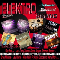 Elektro Sound 30 (Elektro Sound Sum'hits Radio)