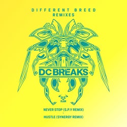Never Stop (S.P.Y Remix) / Hustle [Synergy Remix]