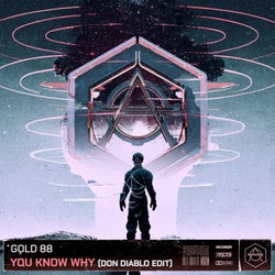 You Know Why - Don Diablo Extended Edit