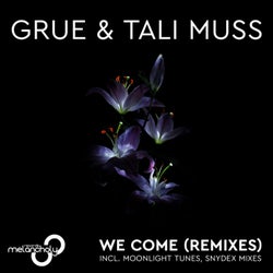 We Come (Remixes)